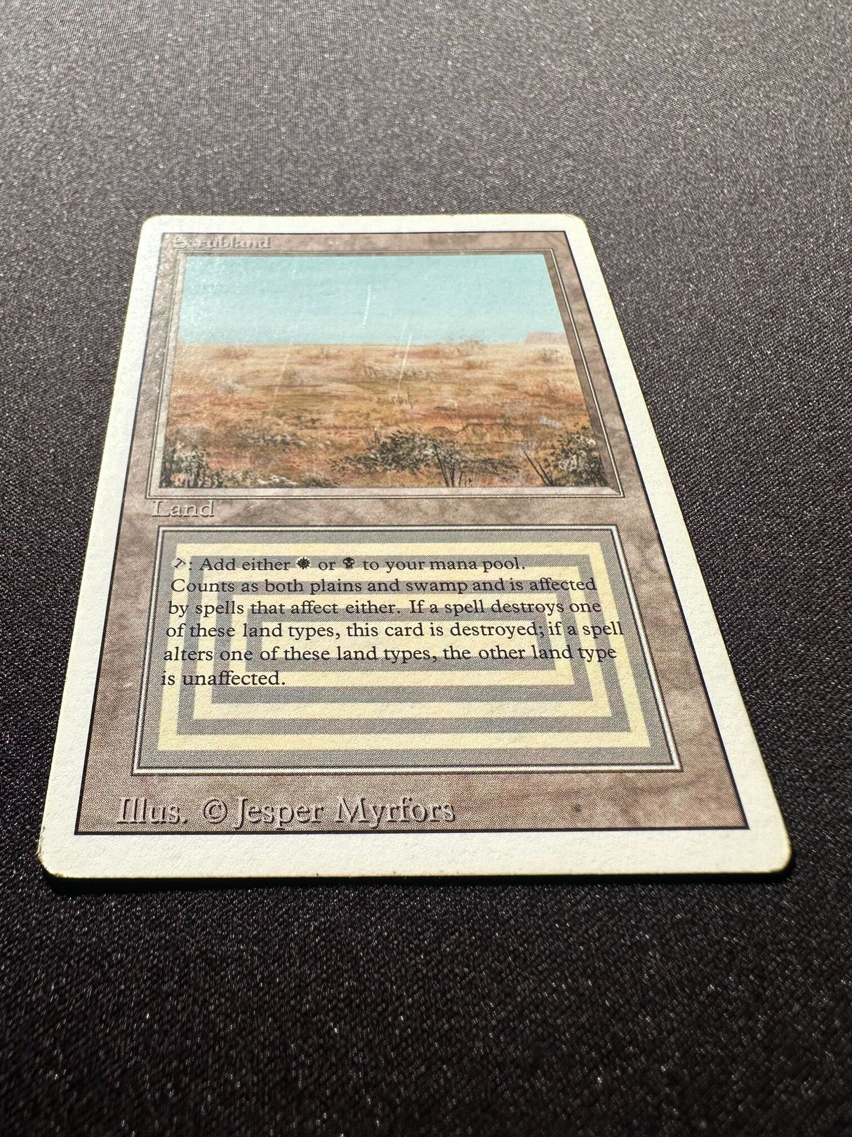 Scrubland - Revised
