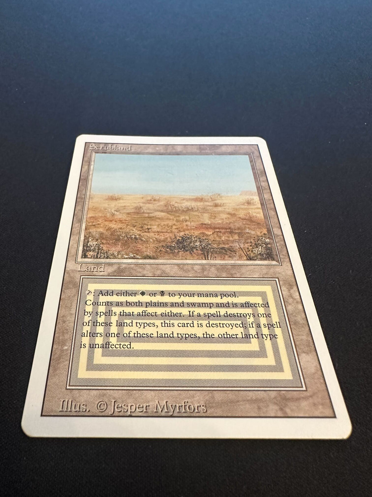 Scrubland - Revised