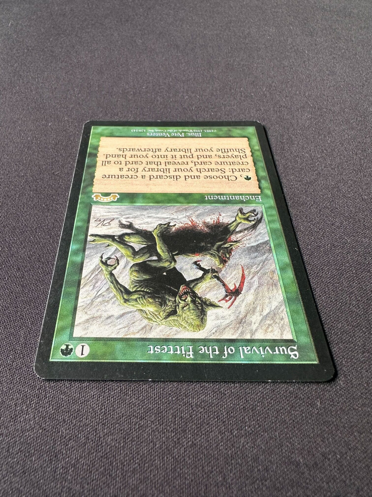 Survival of the Fittest