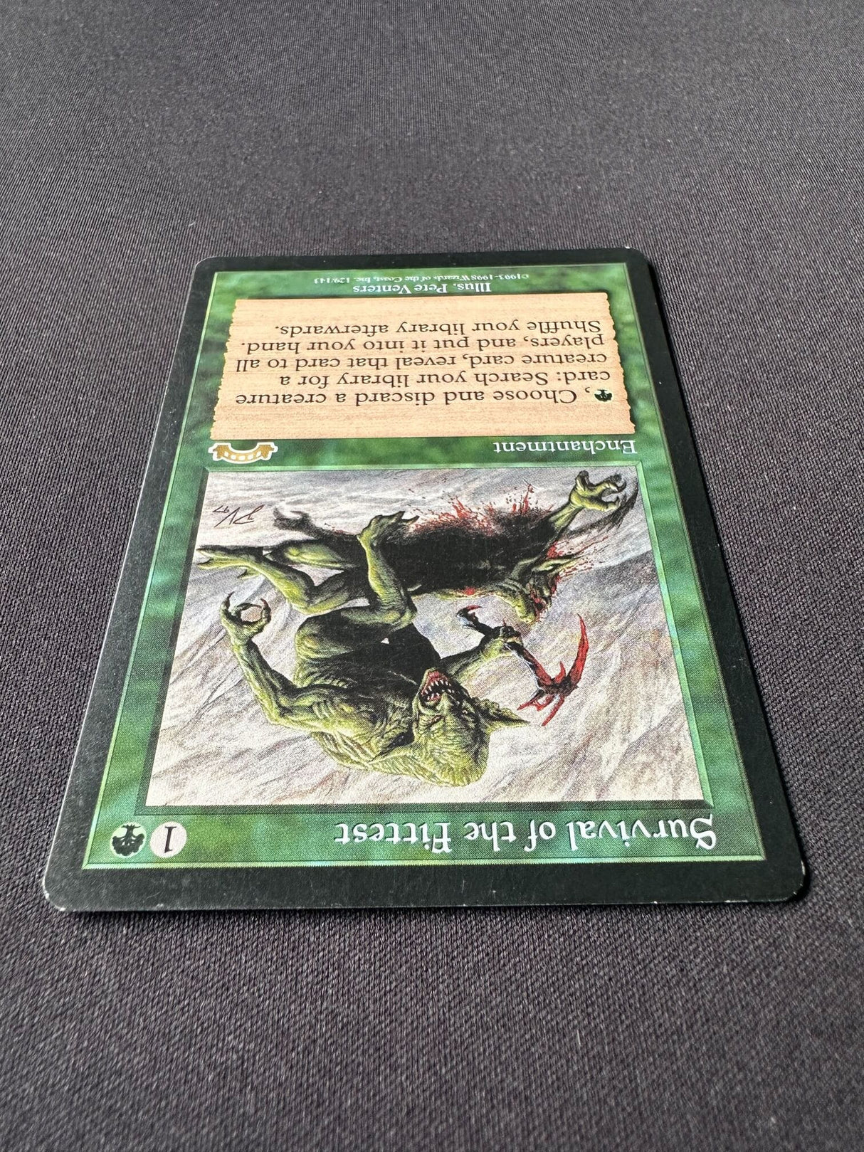 Survival of the Fittest - EX #2