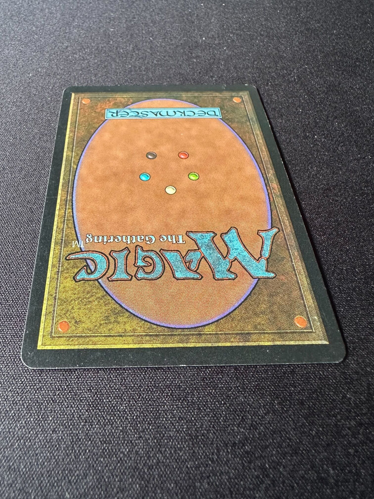 Survival of the Fittest - EX #2