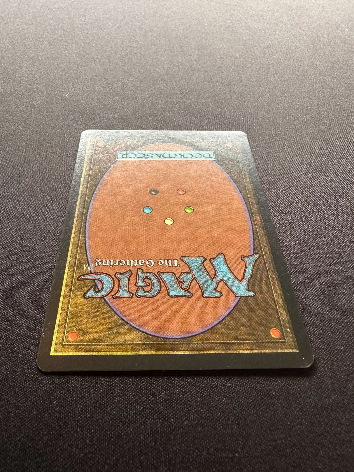 Survival of the Fittest