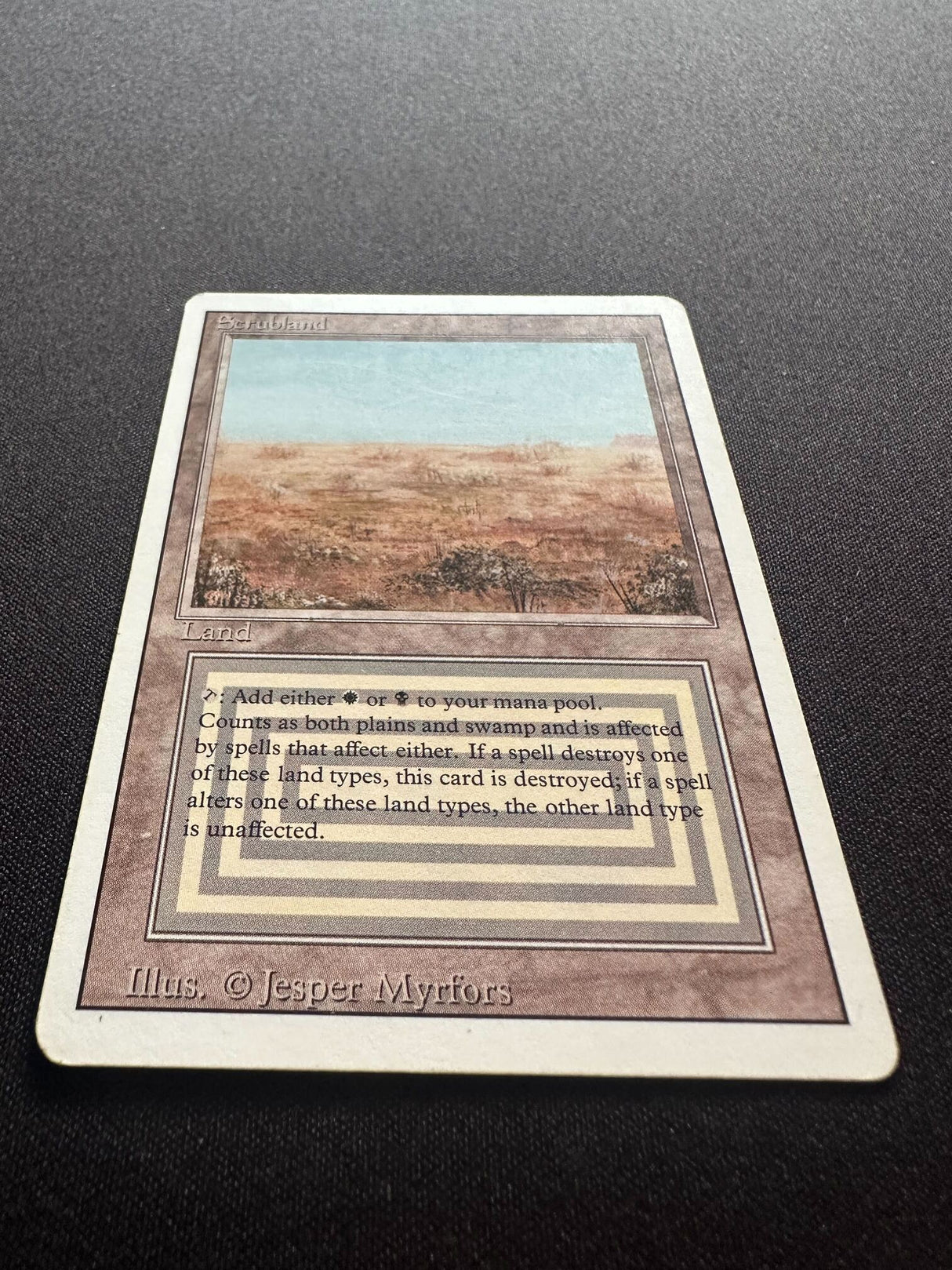 Scrubland - Revised