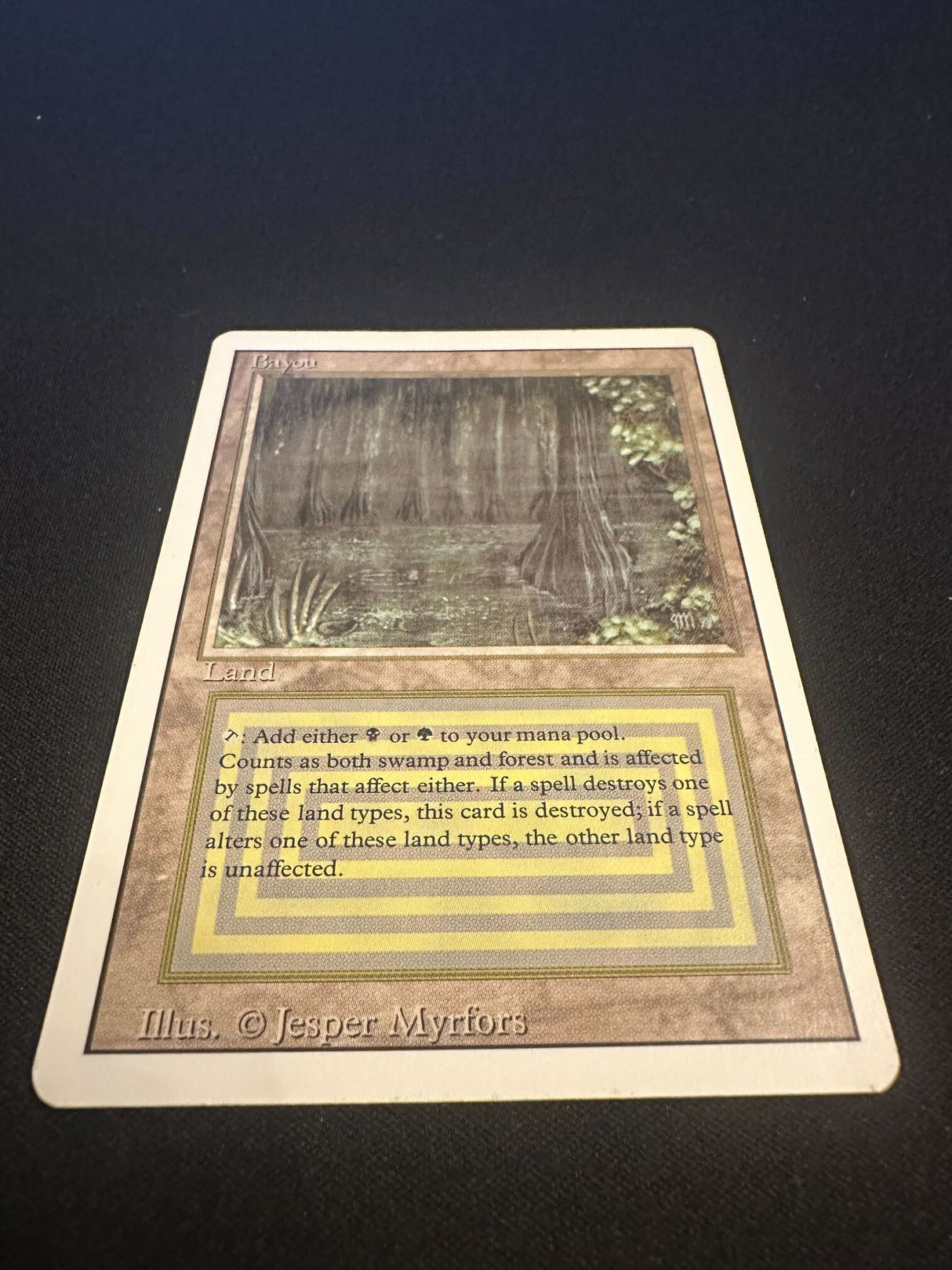 Bayou - Revised