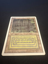 Bayou - Revised