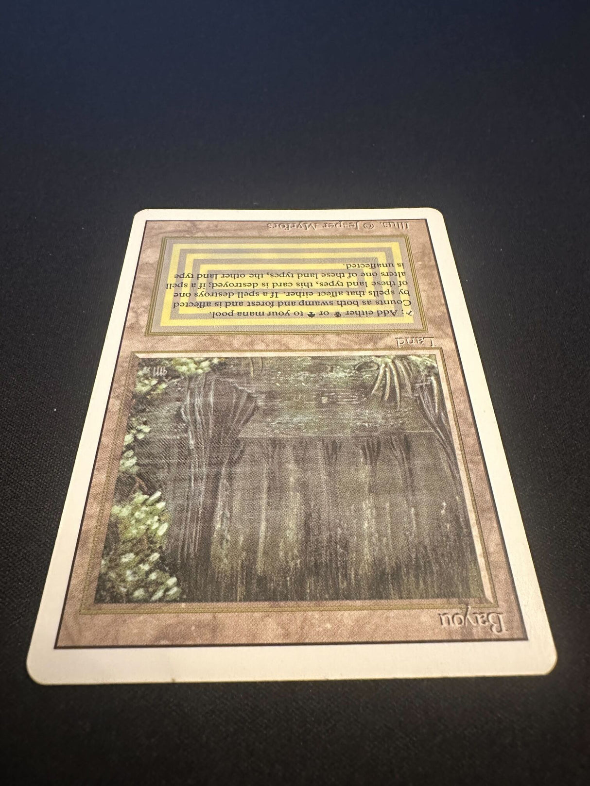 Bayou - Revised