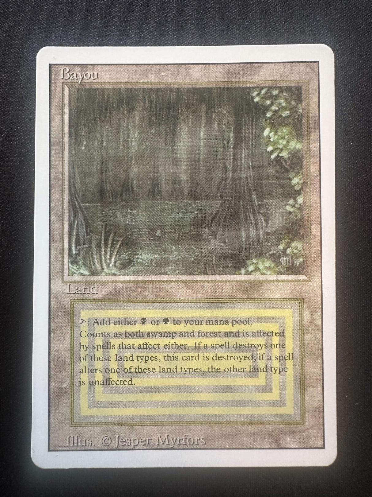 Bayou - Revised
