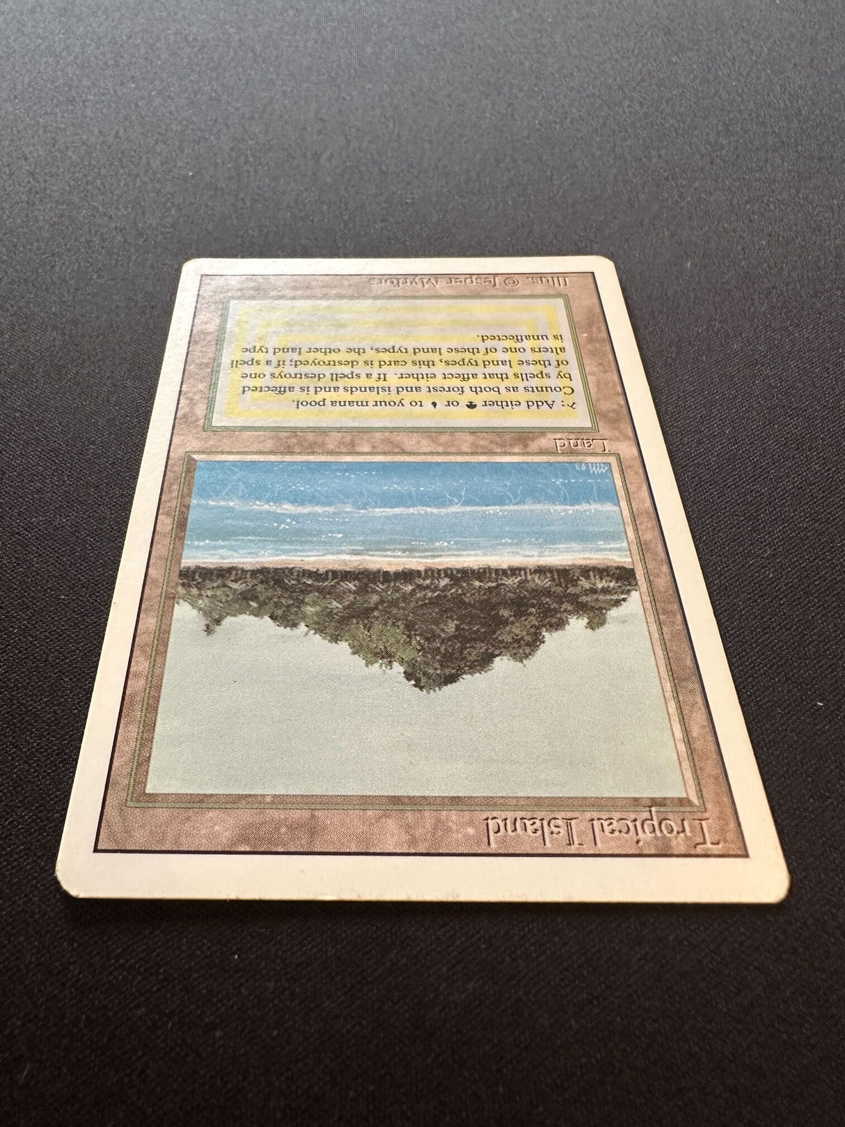 Tropical Island - Revised