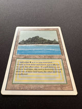 Tropical Island - Revised