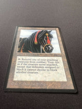 Ebony Horse - Arabian Nights