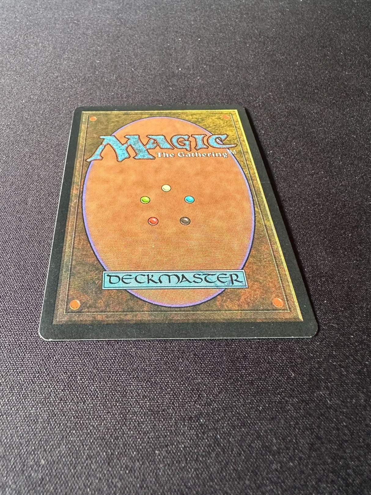 Survival of the Fittest - EX #2