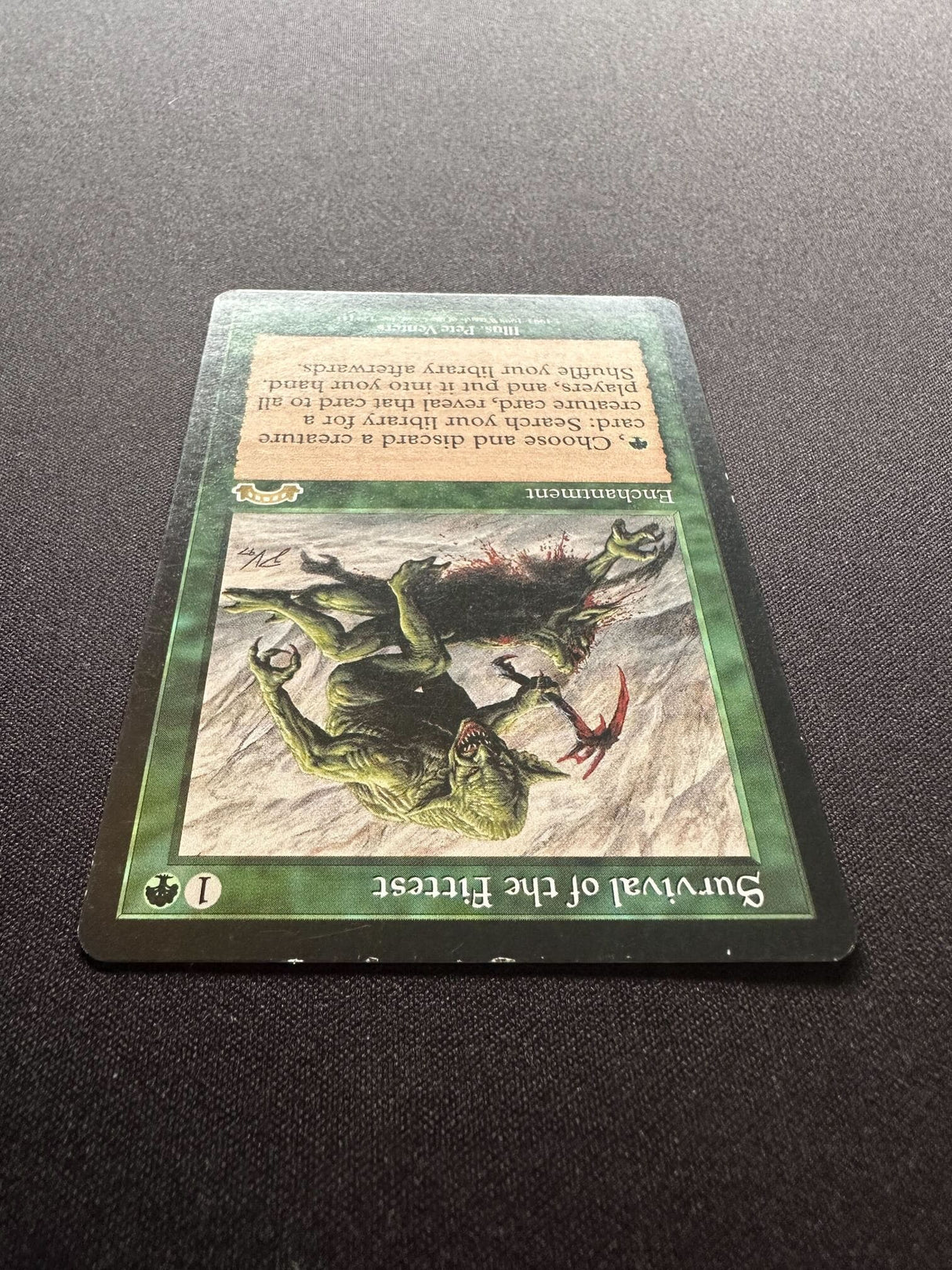 Survival of the Fittest