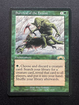 Survival of the Fittest - GD #2