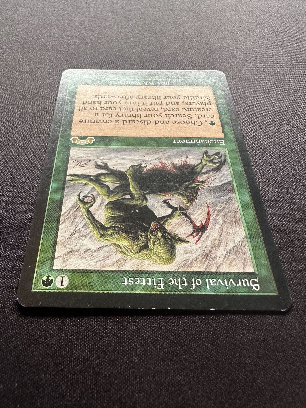 Survival of the Fittest - GD #2